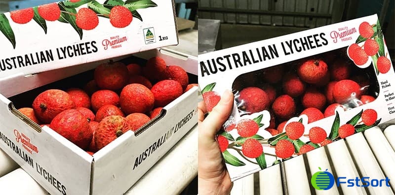 images/1654157264413lychee packing machine.jpg